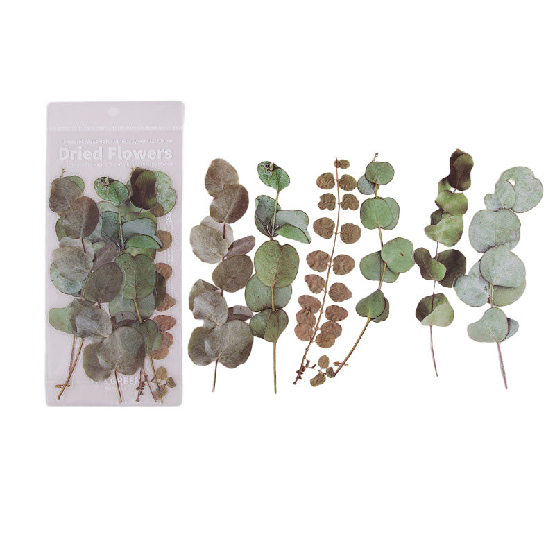 Getrocknete Blumen Aufkleber Set
