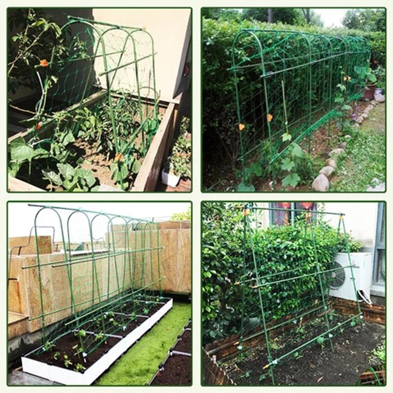 Frendorf | Pflanze verbindende Schnallen