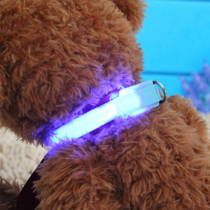 LED Hundehalsband