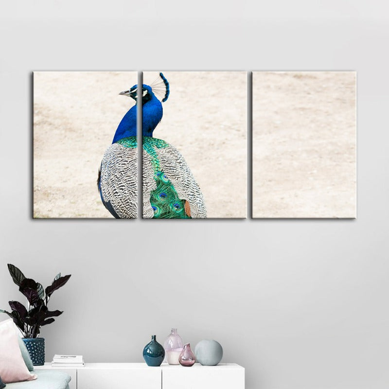 Rockiges Elegantes Pfau-Leinwand Wandkunst Gemälde 3 Teile