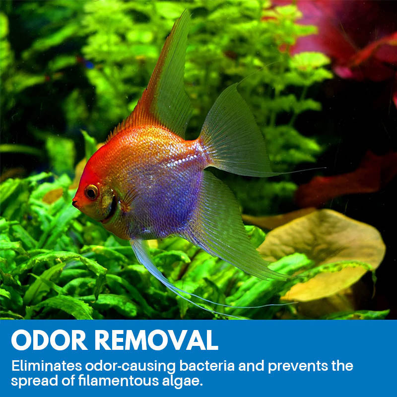 Frendorf | Aquarium Reinigendes Pulver