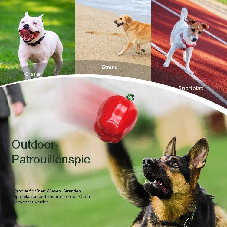 Apfel Innenausgabe Spielzeug / Für Hunde