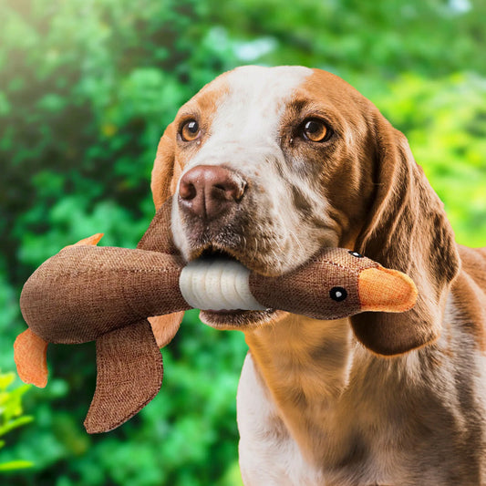 Frendorf | Unzerstörbares Hundespielzeug (1+1 GRATIS) - ToughGoose