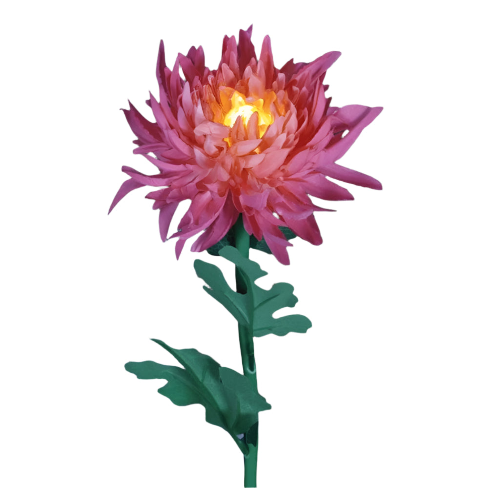 Frendorf | BloomGlow solarbetriebene Gartenlampen – Farbwechselnde LED-Außendekoration