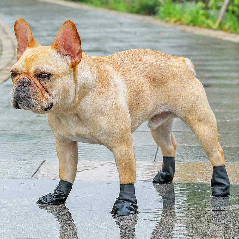 Frendorf | Wasserdichte Hundeschuhe zum Schutz der Pfoten