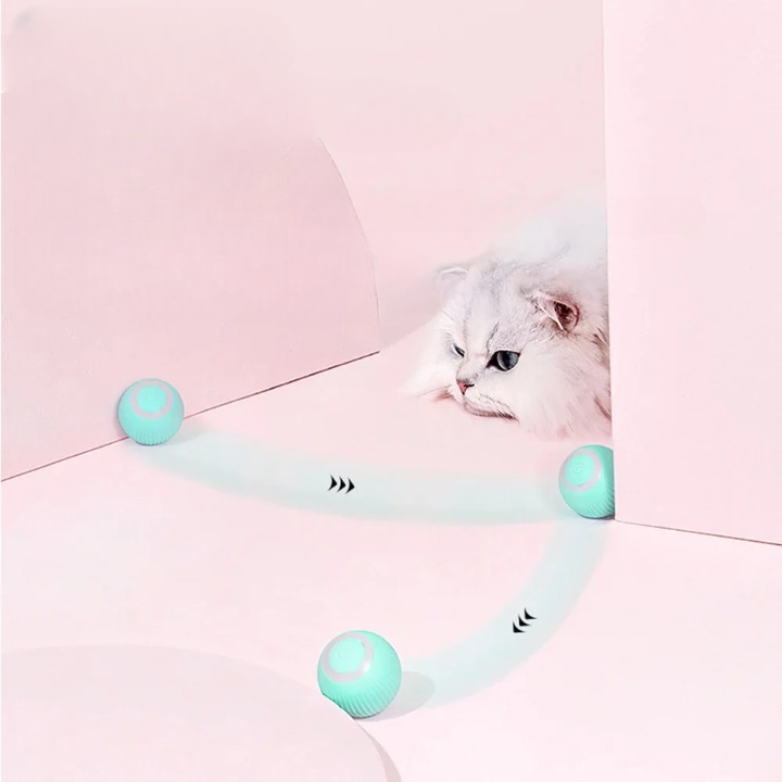 Frendorf | Halte deine Katze im Haus glücklich und gesund