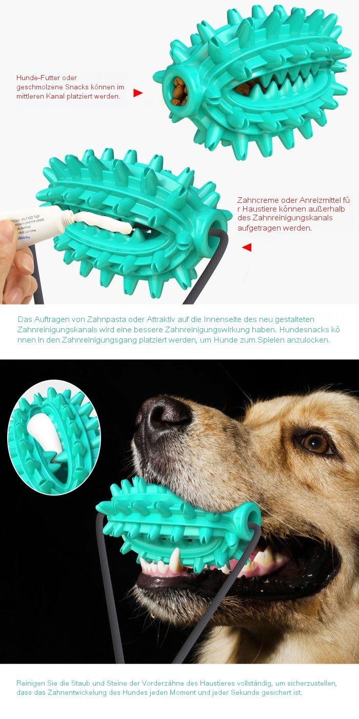 Dual‑Suction Kaktus Kauball / Für Hunde