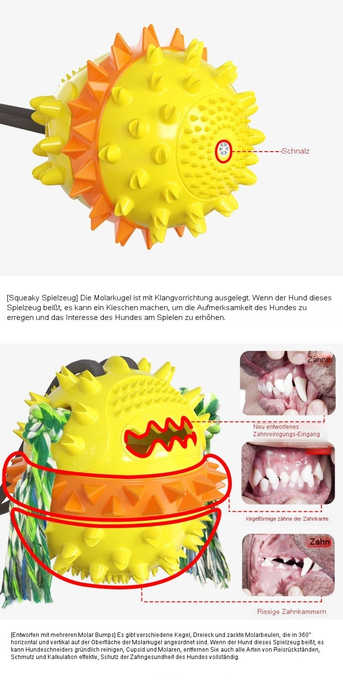 Erhöhter Saugnapf-Seil-Ball Typ D – Doppelsaug mit doppeltem Ballspielzeug