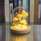 LumiCraft – Einzigartige DIY Tischlampe mit natürlicher Urmuschel für eine stimmungsvolle Einrichtung