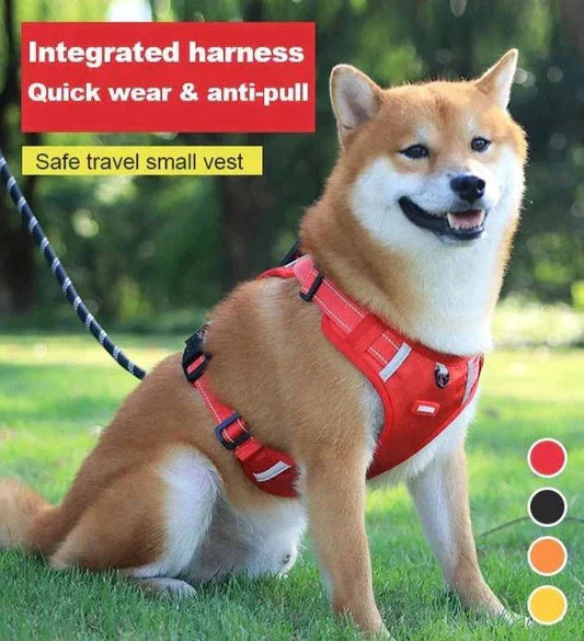 Frendorf |  DogGrip - Führen Sie Ihren Hund sicher spazieren