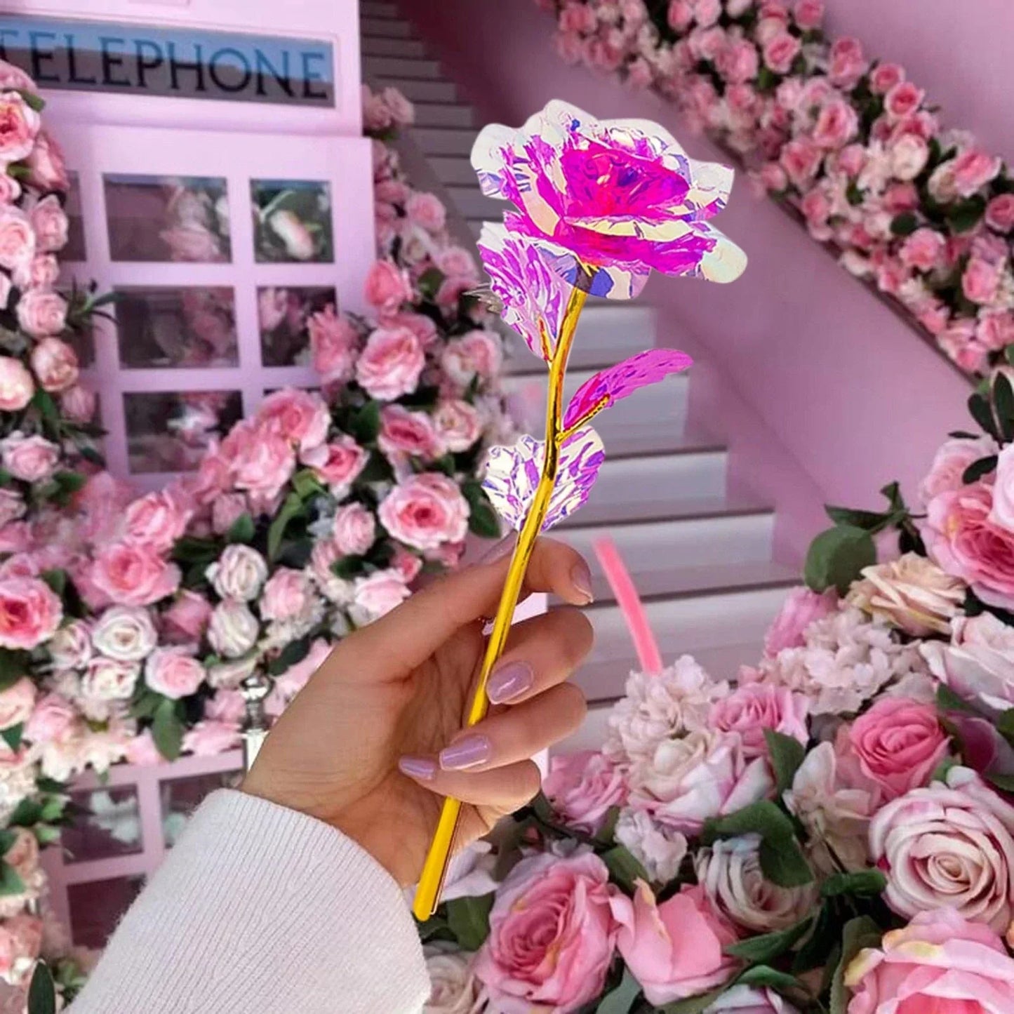 Frendorf | 5 Stück bunte Galaxie-Rosen