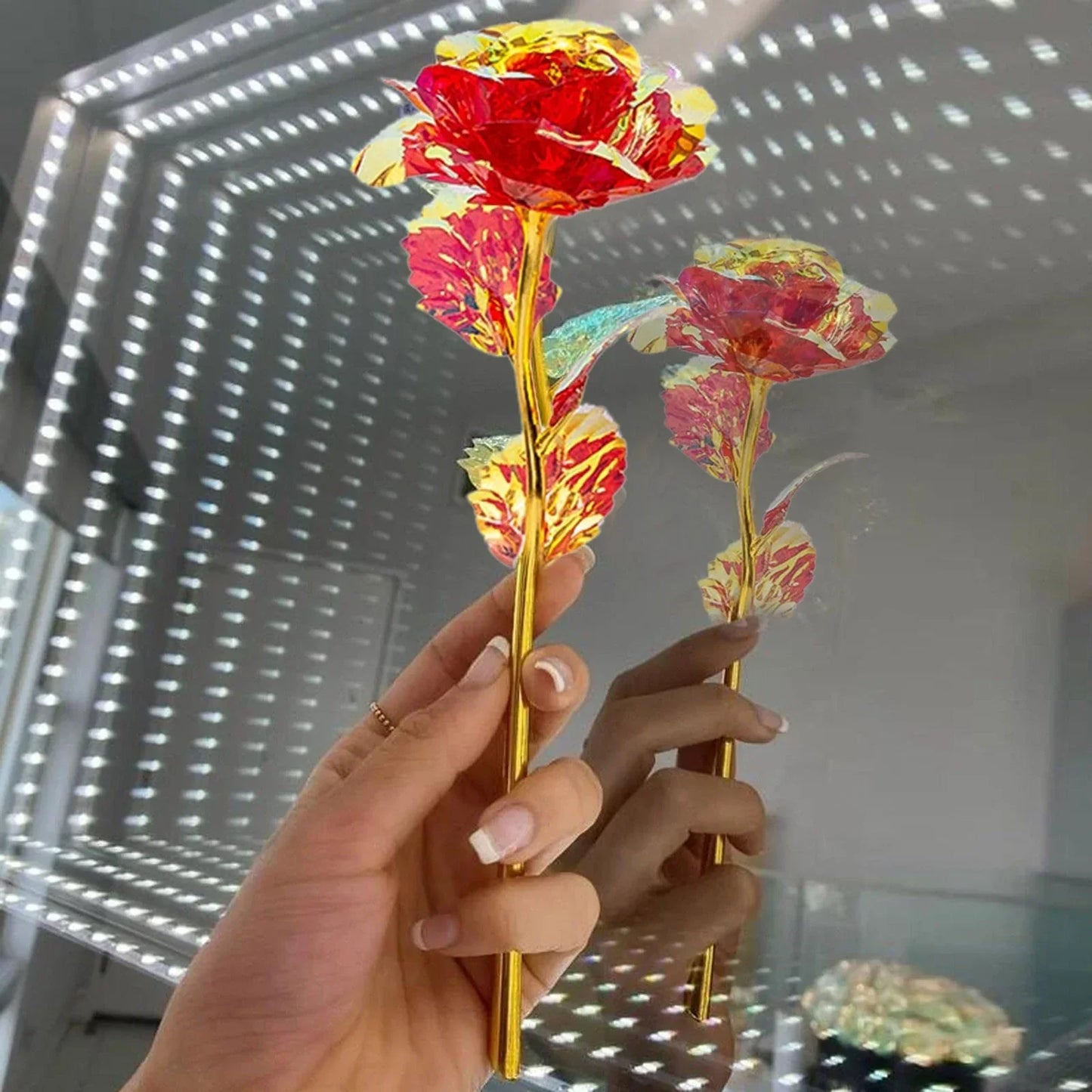 Frendorf | 5 Stück bunte Galaxie-Rosen