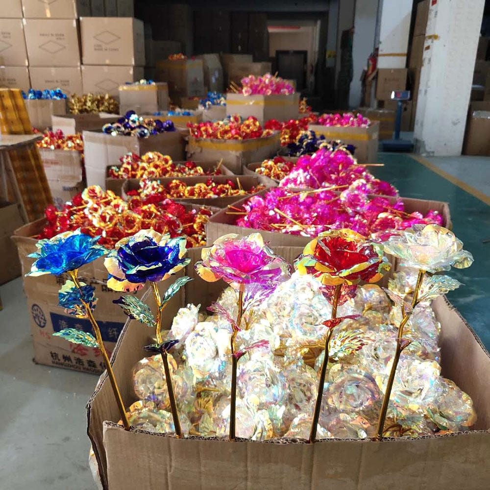 Frendorf | 5 Stück bunte Galaxie-Rosen