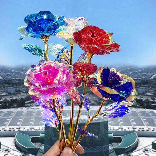 Frendorf | 5 Stück bunte Galaxie-Rosen