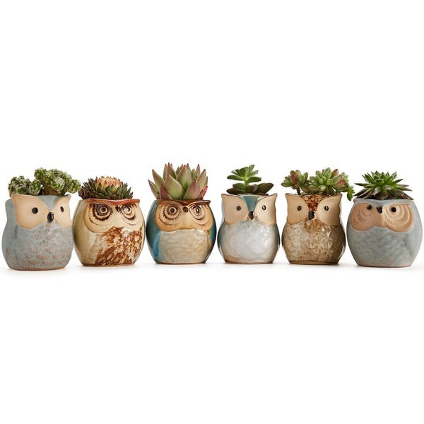 Frendorf | 6er-Pack: 2,5 Zoll Eulen Blumentopf Keramik Basis