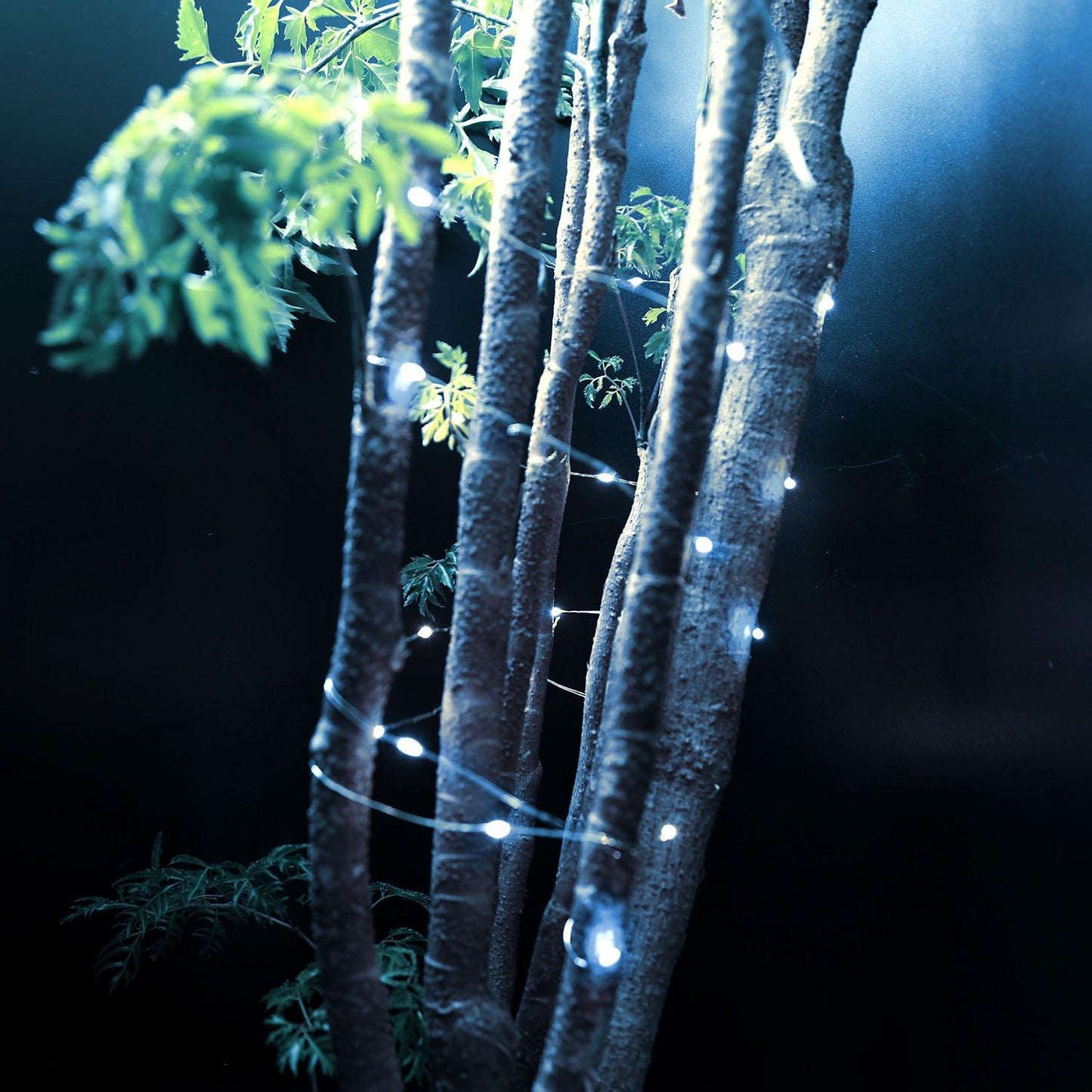 Frendorf | 6er-Pack: LED Lichterkette