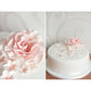 Frendorf | 6-teilig: Backform Fondant Kuchen Zuckerhandwerk Rose Blume Keks