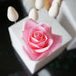 Frendorf | 6-teilig: Backform Fondant Kuchen Zuckerhandwerk Rose Blume Keks