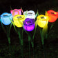 Frendorf | 6-Teile: Solar-Garten-Tulpenblumenlichter
