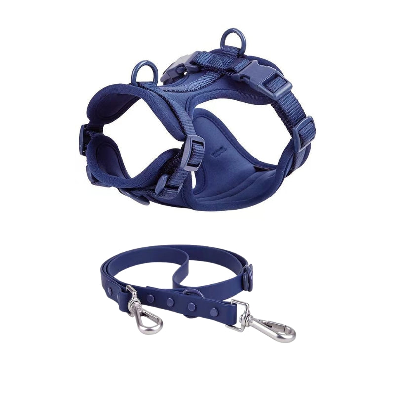 Schick verstellbares PVC-Hundegeschirr und Leine