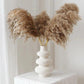60 cm natürlicher, echter, braun-beiger getrockneter Pampasgrasstrauß │ flauschige Feder für moderne Boho-Heimdekoration