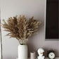 60 cm natürlicher, echter, braun-beiger getrockneter Pampasgrasstrauß │ flauschige Feder für moderne Boho-Heimdekoration