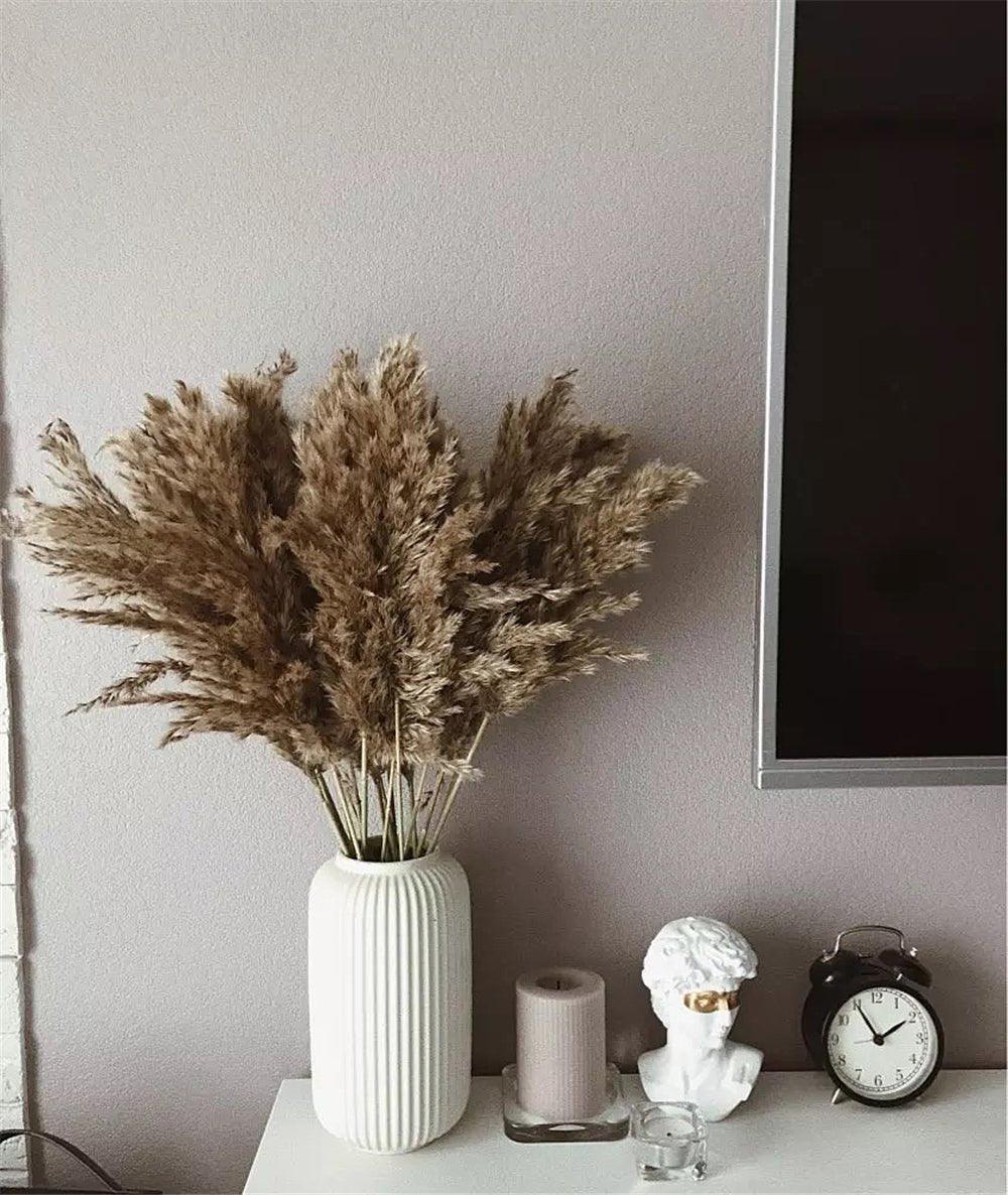 60 cm natürlicher, echter, braun-beiger getrockneter Pampasgrasstrauß │ flauschige Feder für moderne Boho-Heimdekoration