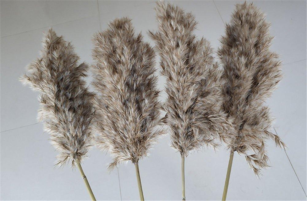 60 cm natürlicher, echter, braun-beiger getrockneter Pampasgrasstrauß │ flauschige Feder für moderne Boho-Heimdekoration