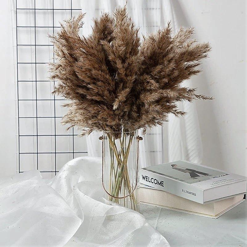 60 cm natürlicher, echter, braun-beiger getrockneter Pampasgrasstrauß │ flauschige Feder für moderne Boho-Heimdekoration