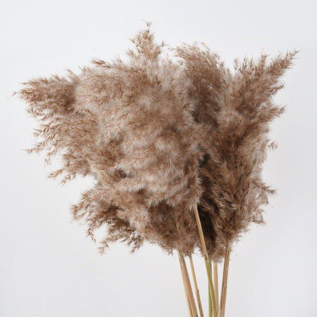 60 cm natürlicher, echter, braun-beiger getrockneter Pampasgrasstrauß │ flauschige Feder für moderne Boho-Heimdekoration