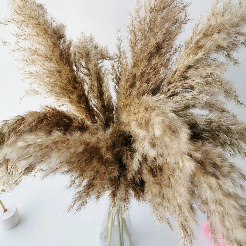 60 cm natürlicher, echter, braun-beiger getrockneter Pampasgrasstrauß │ flauschige Feder für moderne Boho-Heimdekoration
