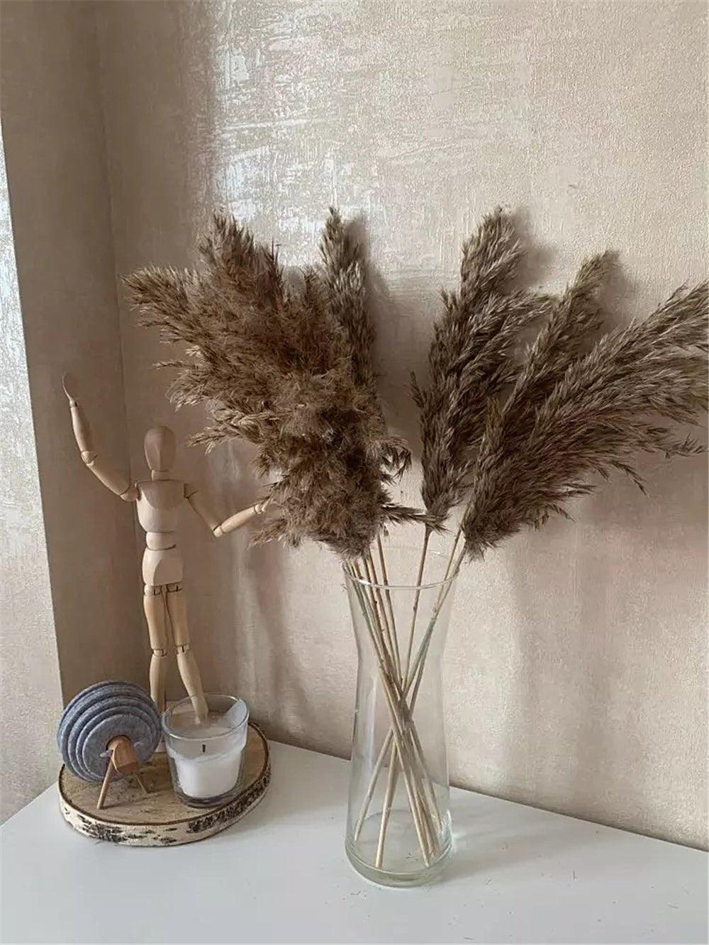60 cm natürlicher, echter, braun-beiger getrockneter Pampasgrasstrauß │ flauschige Feder für moderne Boho-Heimdekoration