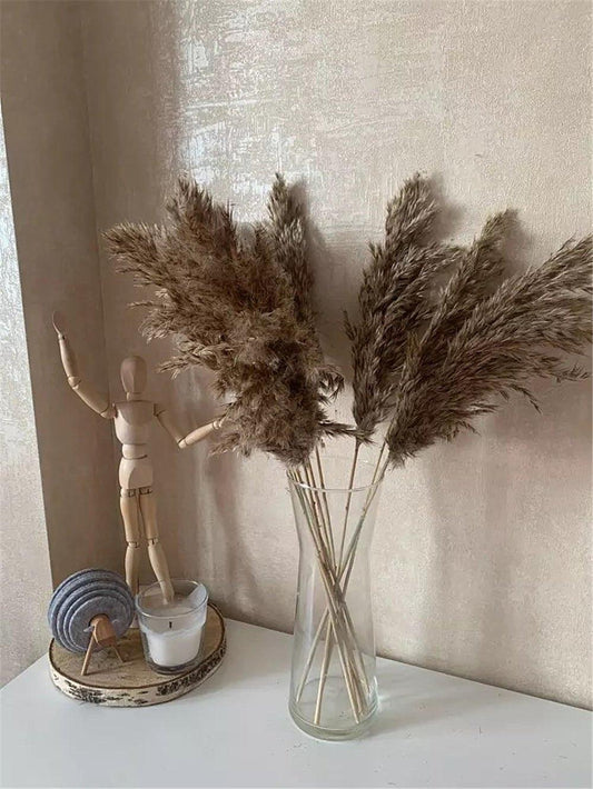 60 cm natürlicher, echter, braun-beiger getrockneter Pampasgrasstrauß │ flauschige Feder für moderne Boho-Heimdekoration