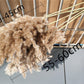 60 cm natürlicher, echter, braun-beiger getrockneter Pampasgrasstrauß │ flauschige Feder für moderne Boho-Heimdekoration