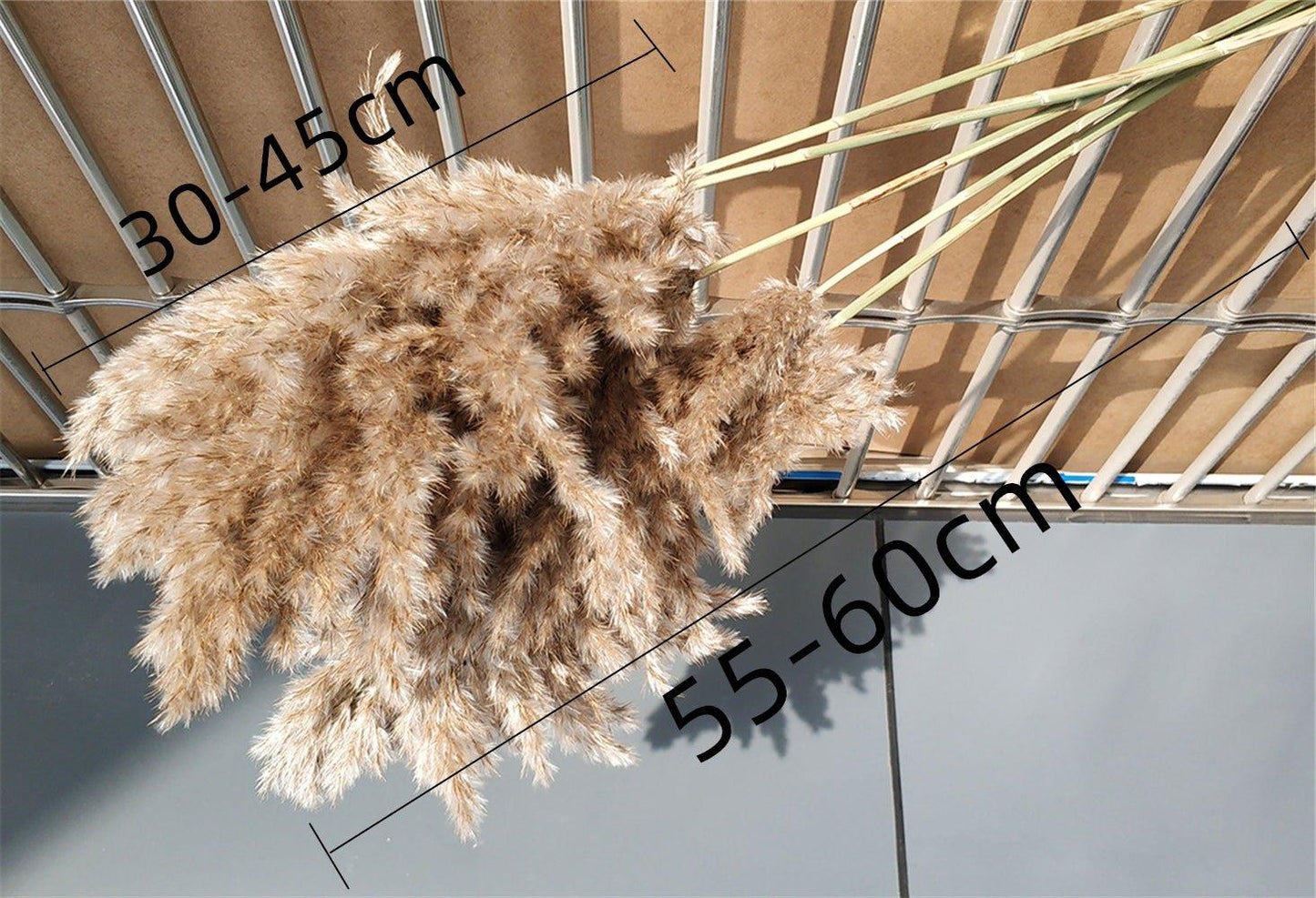 60 cm natürlicher, echter, braun-beiger getrockneter Pampasgrasstrauß │ flauschige Feder für moderne Boho-Heimdekoration