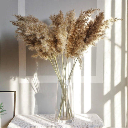 60 cm natürlicher, echter, braun-beiger getrockneter Pampasgrasstrauß │ flauschige Feder für moderne Boho-Heimdekoration