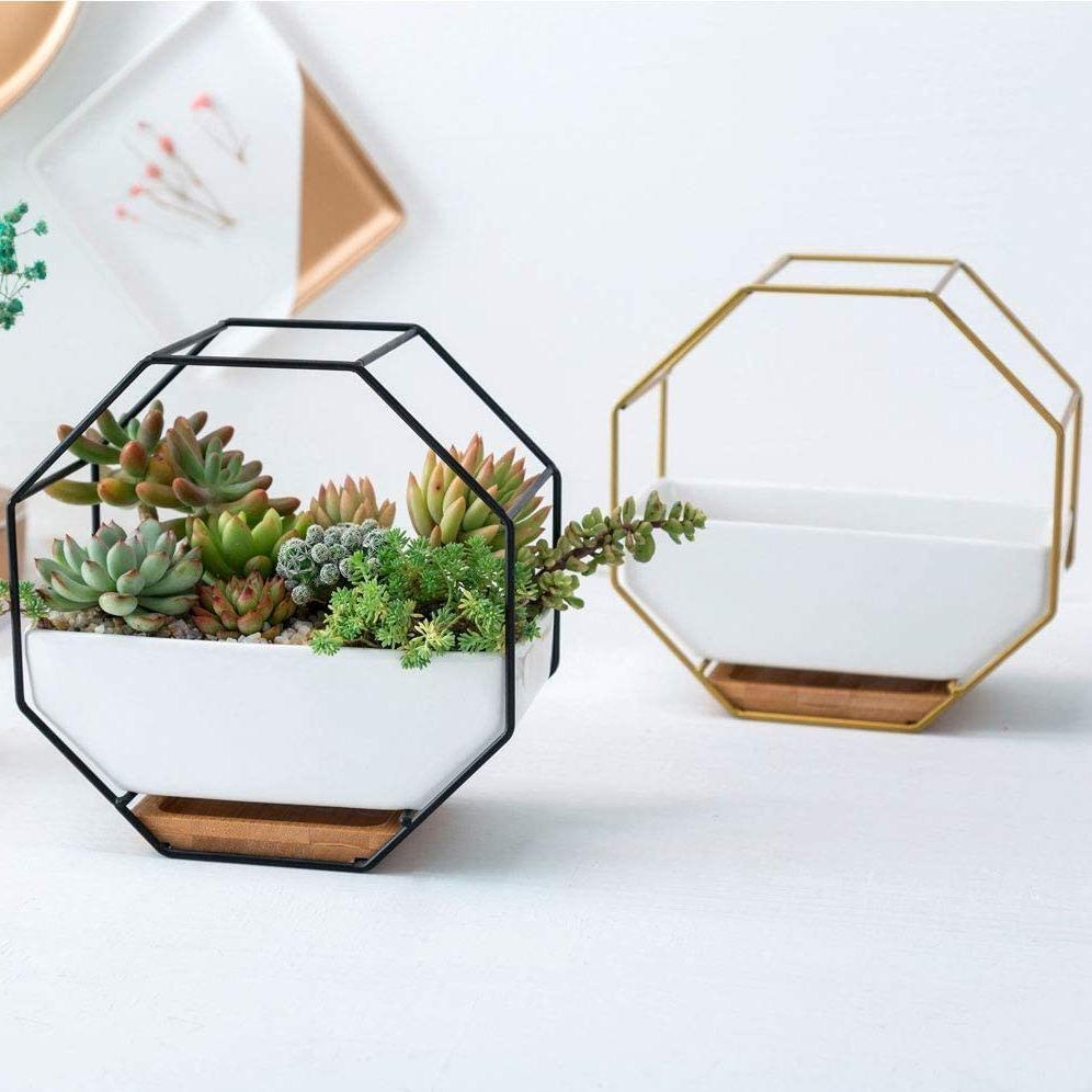 Frendorf | GeoFrame Keramik Wandpflanztopf mit Metallrahmen | Octagon Design