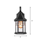 Frendorf | Seedy Glass Zwarte Wandlamp Lantaarn 1-Lichts Rustieke Wandlamp Fixture voor Porch Tuin