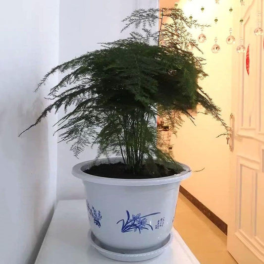 Frendorf | Blumentopf aus Kunststoff mit Bambusmotiv – Eleganter Pflanztopf für Balkon und Garten