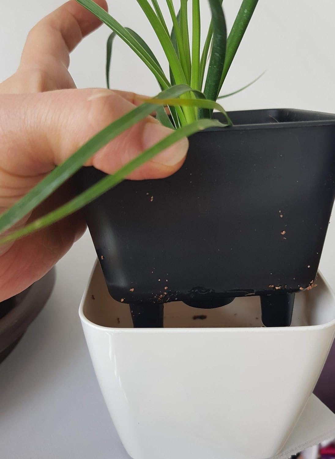 Frendorf | Blumentopf mit Bewässerungssystem – Selbstbewässernder Pflanztopf für Innen- und Außennutzung