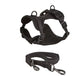 Schick verstellbares PVC-Hundegeschirr und Leine