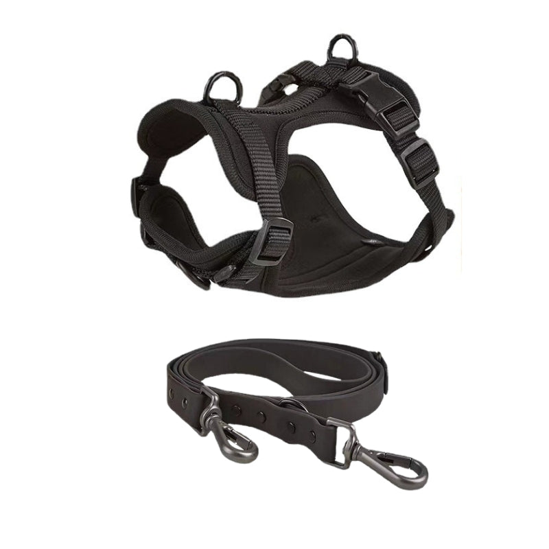 Schick verstellbares PVC-Hundegeschirr und Leine