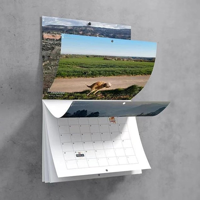 Frendorf | 📅2024 Lustigster Kalender-Hunde, die an schönen Orten kacken | "Künstlerischer Ausdruck" pelziger Freunde