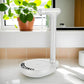 Frendorf | Elektrischer Desktop-Wasserdispenser 5-Gallonen-Pumpe – Aqualis
