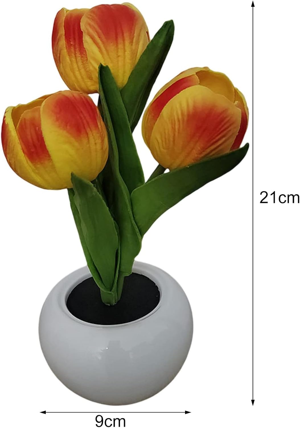 Frendorf | BloomTulip – Romantik & Licht in einem!