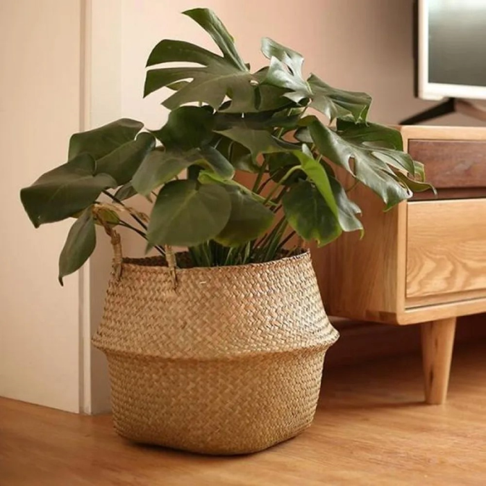 Rattan Pflanzenhalter