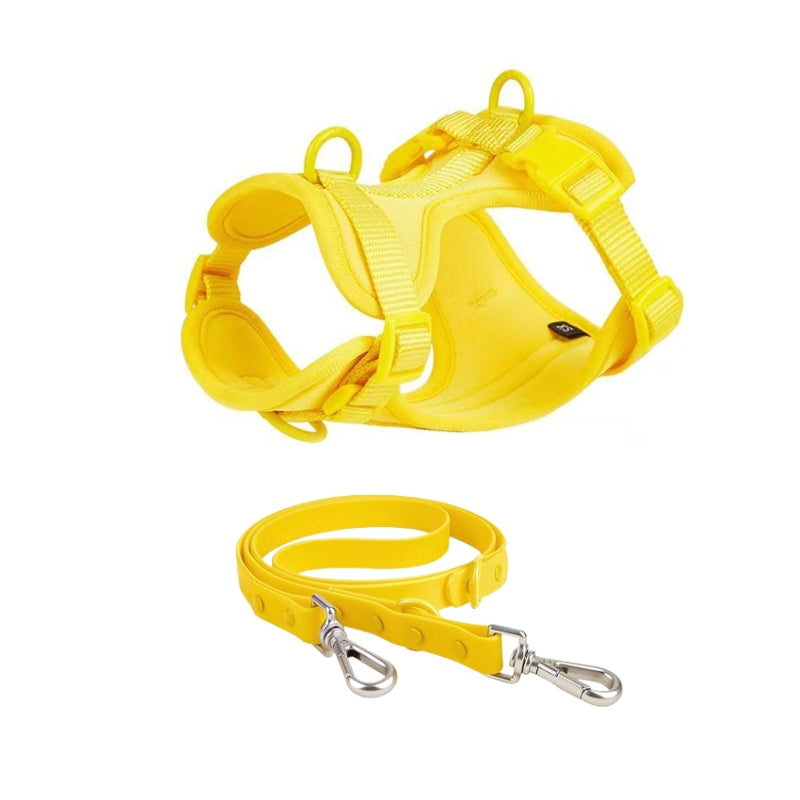 Schick verstellbares PVC-Hundegeschirr und Leine