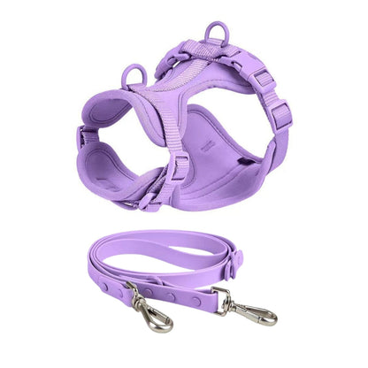 Schick verstellbares PVC-Hundegeschirr und Leine