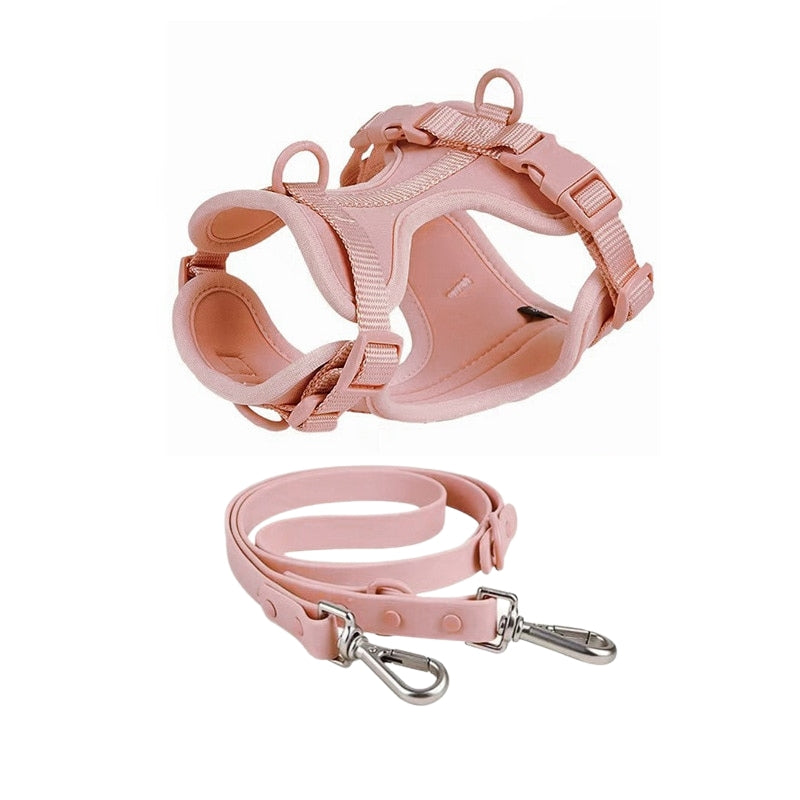 Schick verstellbares PVC-Hundegeschirr und Leine