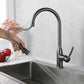 Frendorf | Moderner Pull-down Wasserfüller Einhand Hochbogen Küchenspülenarmatur